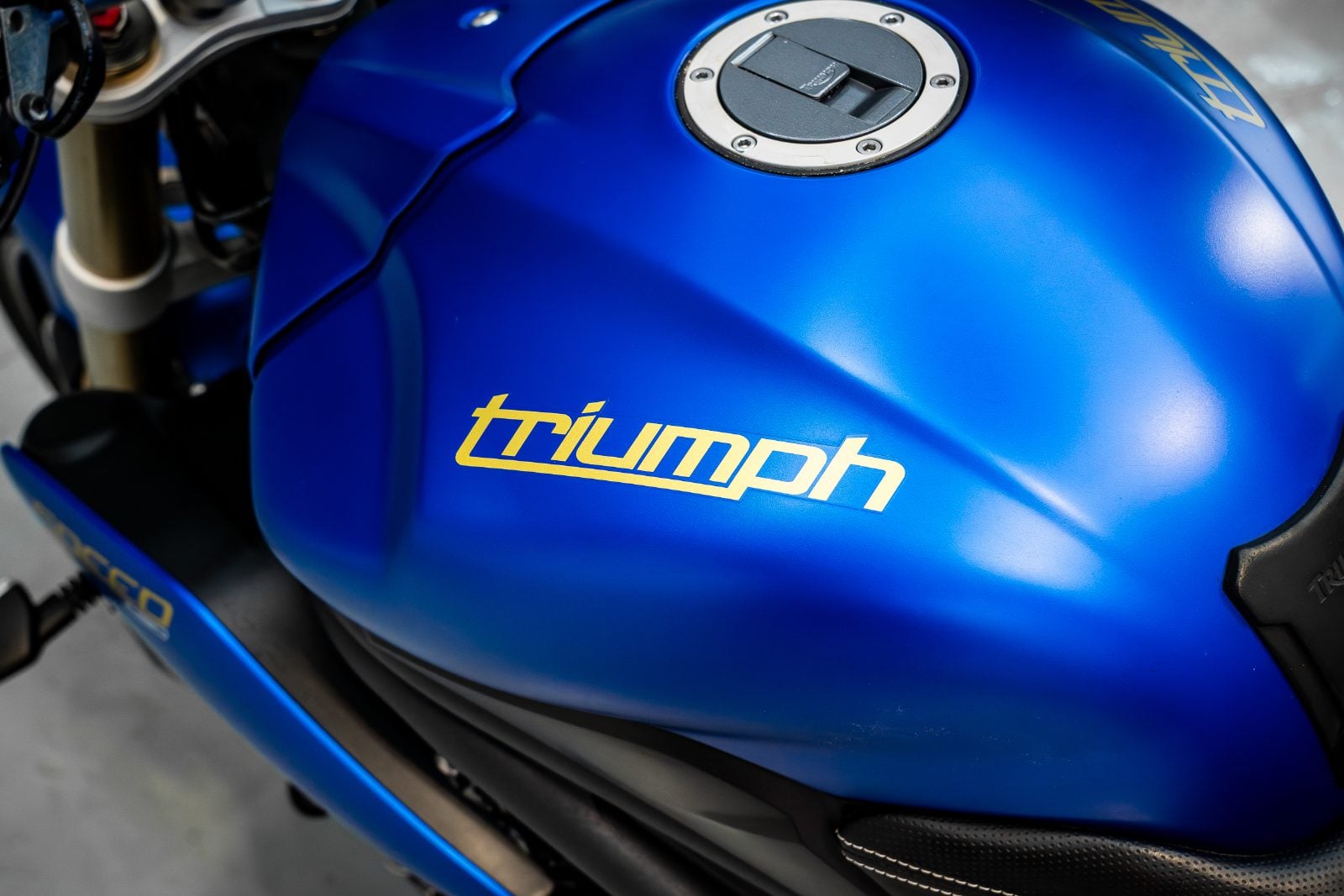 2014 Triumph Speed Triple 1050 ABS in Satin Blue - fuel tank top view