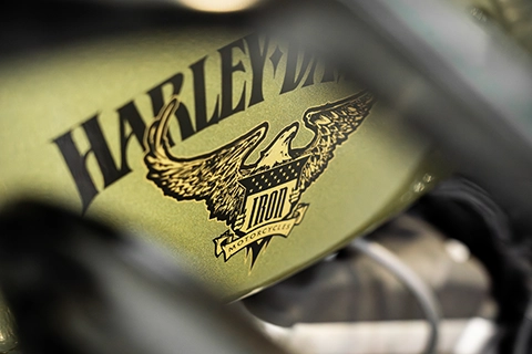 2016 Harley-Davidson Iron 883 - Image 16